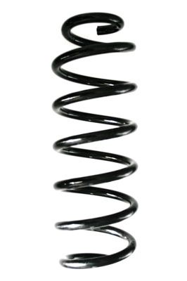 Muelle trasero Nissan Qashqai II (2013-2021)