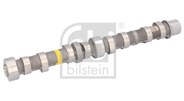 Comprar 55206898 Peugeot/Citroen Kit árbol de levas