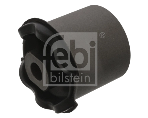 45689 Febi