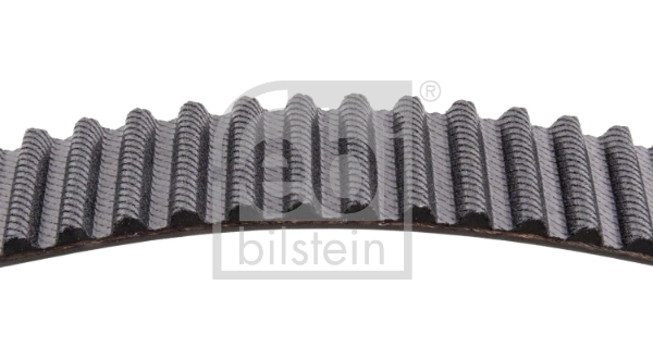 26850 Febi Correa dentada