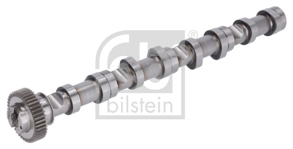 Comprar Árbol de levas de entrada Skoda Fabia II 5J2, 542, 572, 582