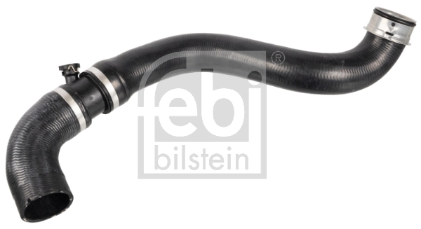 172431 Febi