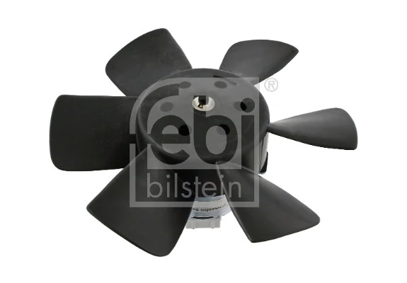 06989 Febi