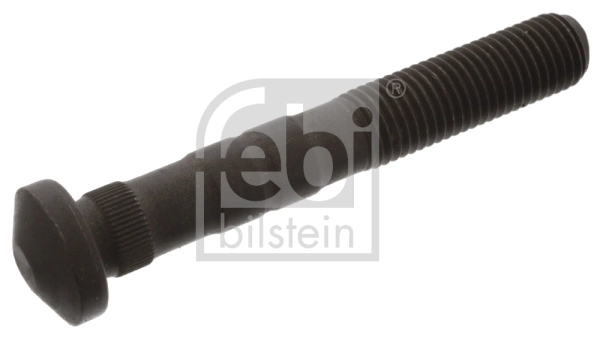 02126 Febi