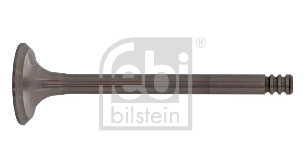 21028 Febi