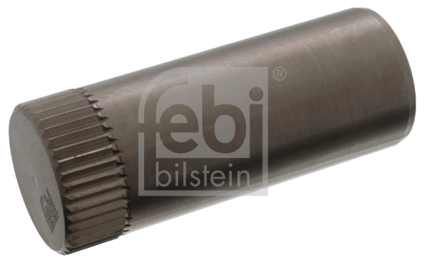 10286 Febi
