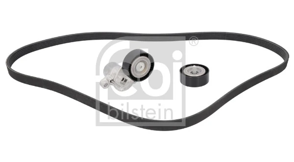 Comprar Correa de transmisión Focus III CB8