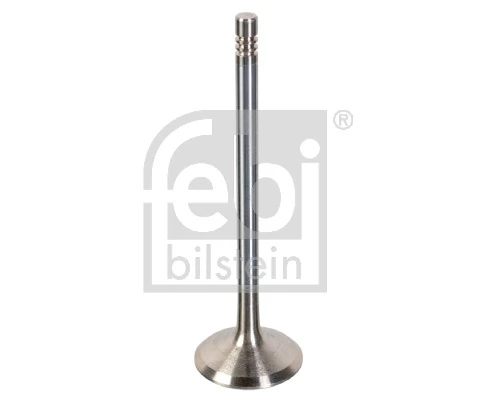 180481 Febi
