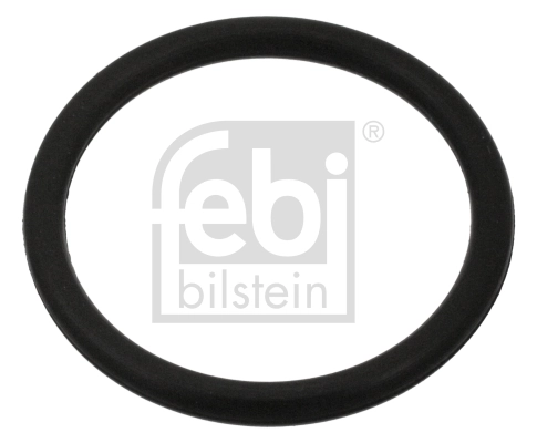 100999 Febi