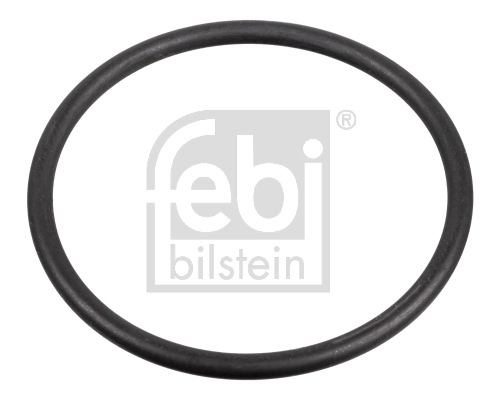 172666 Febi