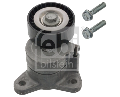Tensor de la correa trapecial Jeep Compass  desde 48,65 €