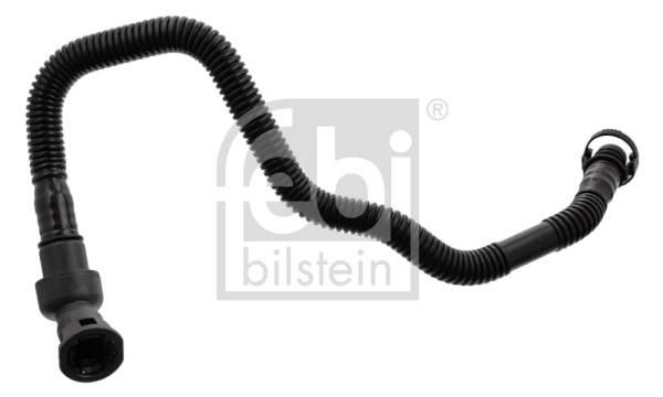 100453 Febi