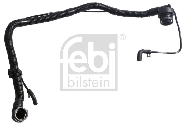 185675 Febi