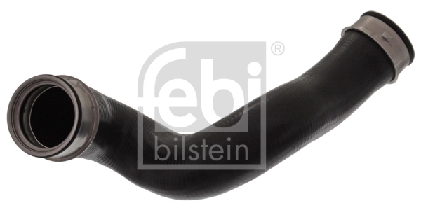 45596 Febi