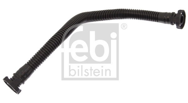 100455 Febi