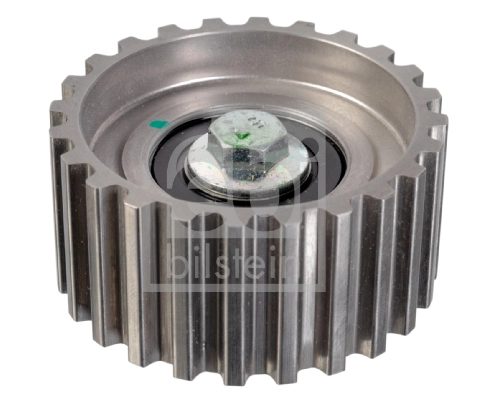 Rodillo intermedio de correa dentada Fiat Ducato 3 250