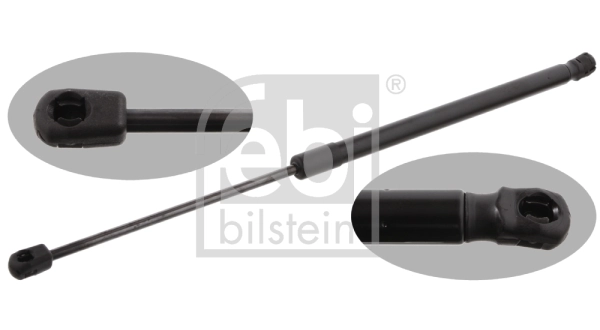 31663 Febi
