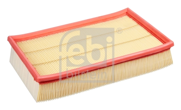 33819 Febi