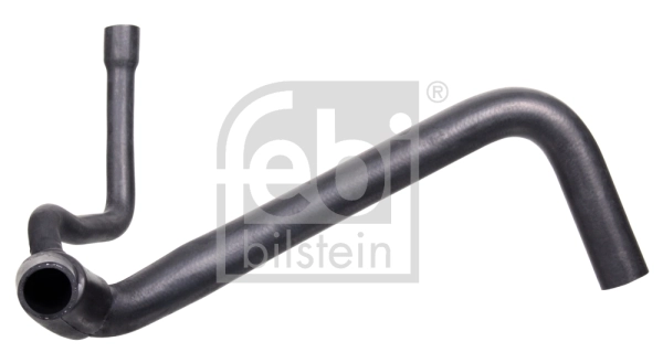 12994 Febi