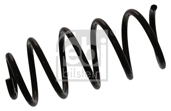 Muelle trasero Smart FORTWO  (2004-2007)
