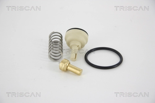 862034487 Triscan