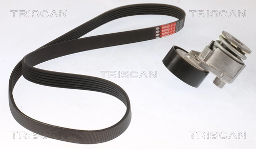 864210030 Triscan