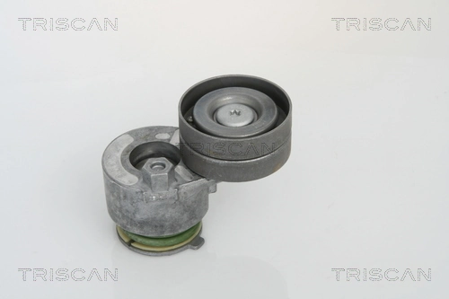 Precio del repuesto Tensor de la correa trapecial poli v Laguna II hatchback