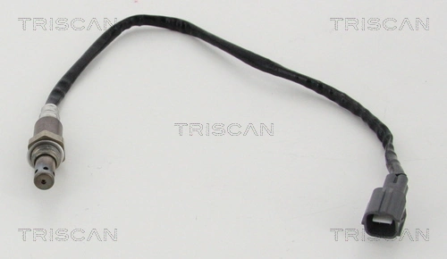 884513029 Triscan