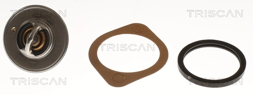 862018388 Triscan Termostato de agua