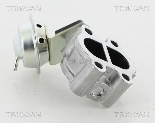 881313060 Triscan