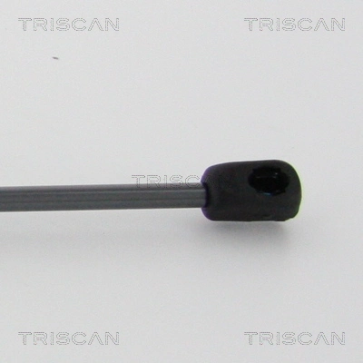 871024108 Triscan Muelle de capó 