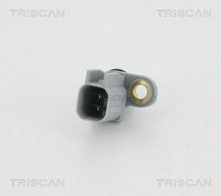 818016305 Triscan
