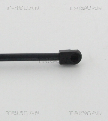 Muelle neumatico maletero Renault (RVI) 904507914R