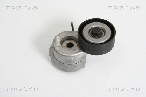 Comprar Tensor de correa poli V Suzuki Swift III RS