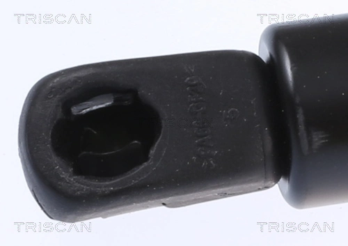 8710292065 Triscan