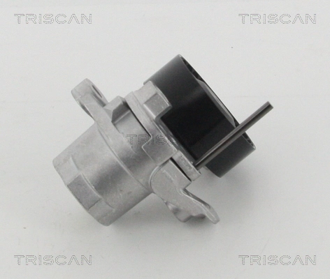 Tensor de la correa trapecial poli v Audi A4 (8W5, 8WD)