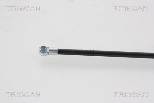 Amortiguador de maletero Triscan 871025221 precio, desde 16,40 EUR