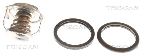86207977 Triscan
