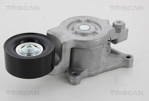 8641503007 Triscan