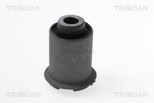 850043810 Triscan