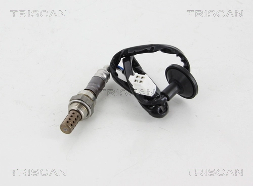 884513021 Triscan