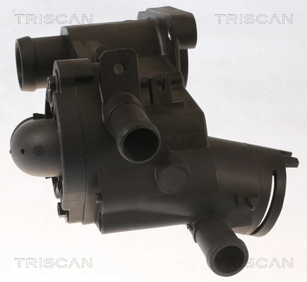 862051787 Triscan Termostato de agua