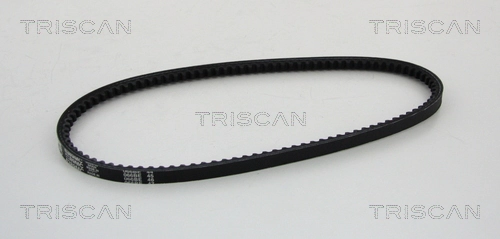 8640110755 Triscan