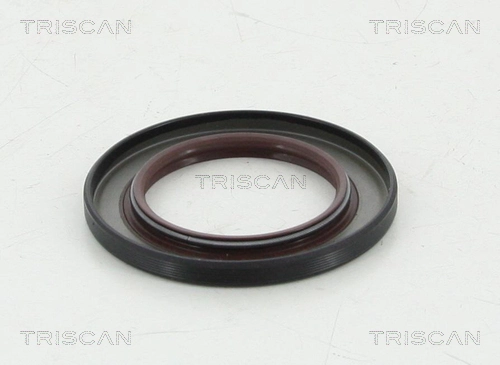855010060 Triscan