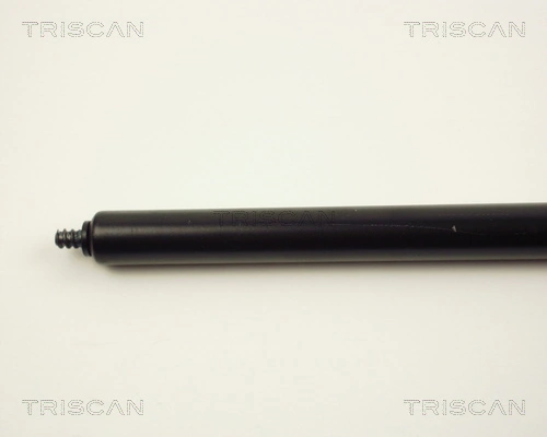 871024104 Triscan Muelle de capó 