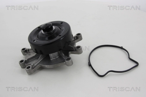 860080015 Triscan