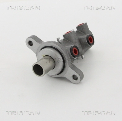 813010123 Triscan