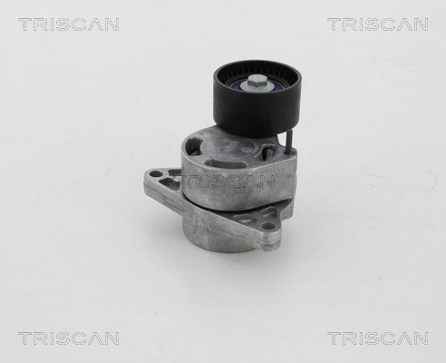 8641103039 Triscan