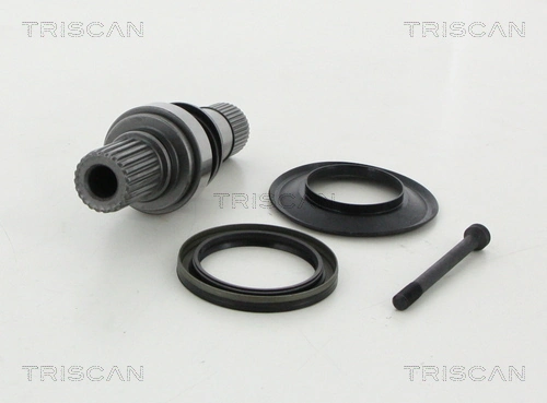 8540295006 Triscan
