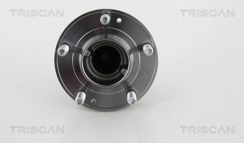 Comprar Cubo de rueda trasero Hyundai Santa Fe II CM
